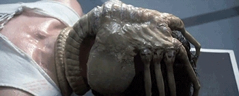 2023年奇異事件Top15：狗開(kāi)槍打死主人、挖外星人祖墳