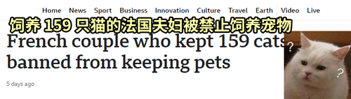 收養了159只貓卻被判終生禁養：因為得了動物囤積癥