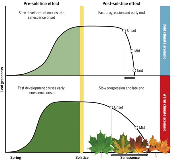 地球的顏色正在改變:這不是件好事(圖2) 地球的顏色正在改變:這不是件好事