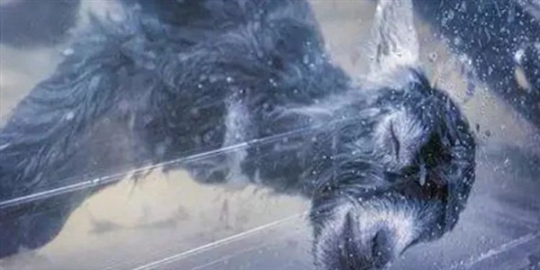 飆上熱搜的人造子宮 真的能讓男人也懷孕？