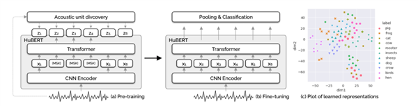 人類一直想搞懂的動物語言 現在終于有希望了