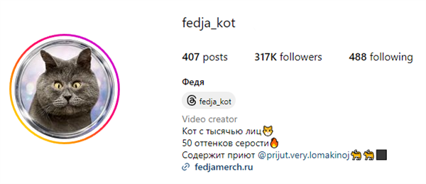 天生表情包的俄羅斯網紅貓：迷住了30多萬人！