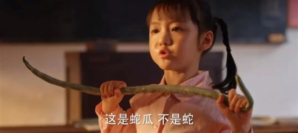 鈣含量比牛奶還高！這種瓜促排便、熱量超低：真的建議你試試