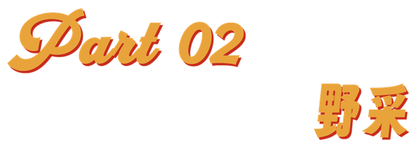 玩一次山上野采 才知道小時候錯過了那么多(圖11) 玩一次山上野采 才知道小時候錯過了那么多