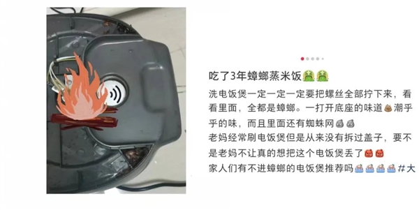 電飯煲這4個地方不洗：當心吃“蟑螂蒸飯”！