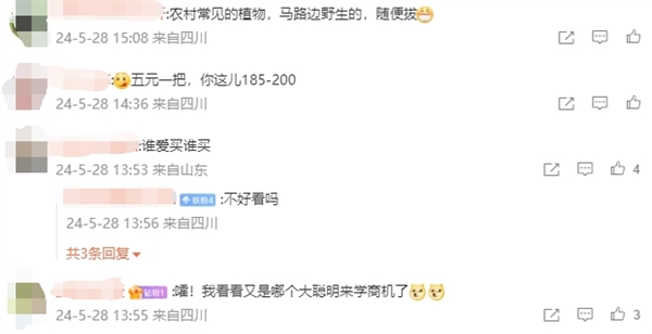 下周端午放假3天不調休：新式艾草花束爆火近200一把